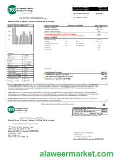 Craighead Electric Cooperative utility business bill, SCR